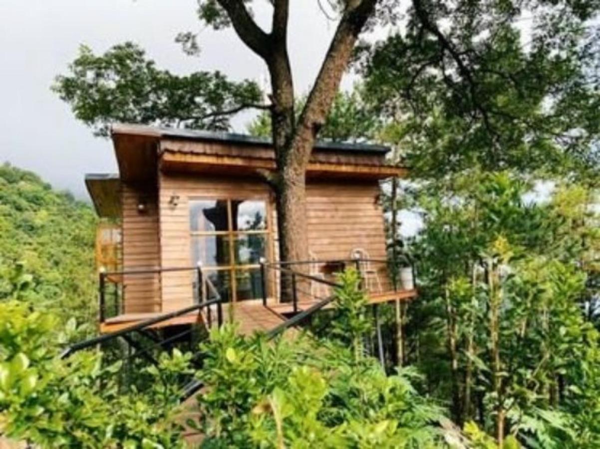 Chillout Village - Homestay Tam Dao ハノイ市 エクステリア 写真