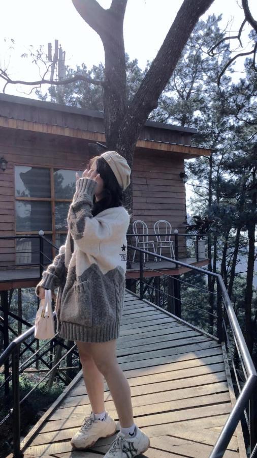 Chillout Village - Homestay Tam Dao ハノイ市 エクステリア 写真